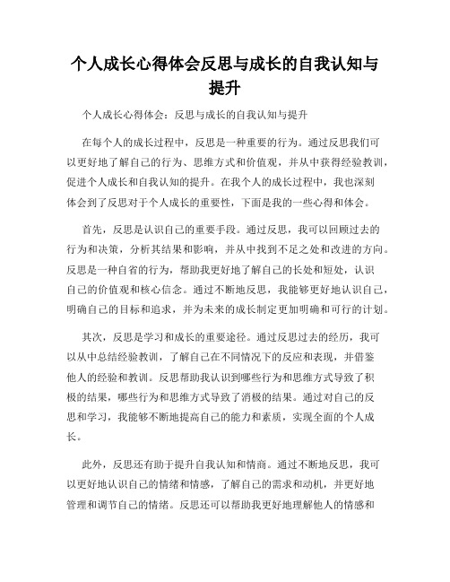 个人成长心得体会反思与成长的自我认知与提升