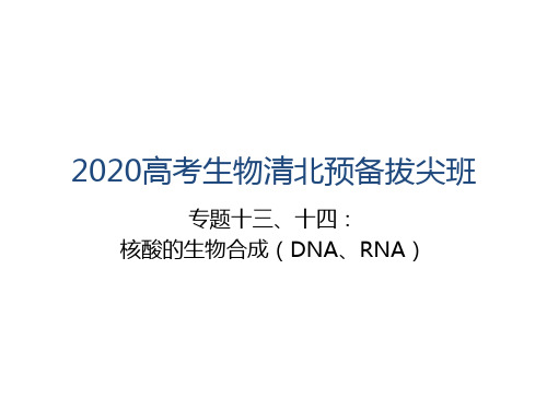 高考生物清北预备拔尖——专题十三、十四：核酸的生物合成