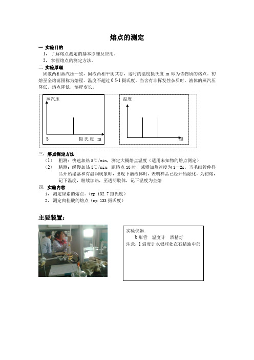 熔点的测定实验报告