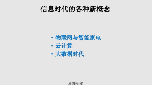 信息时代的各种新概念详解PPT课件