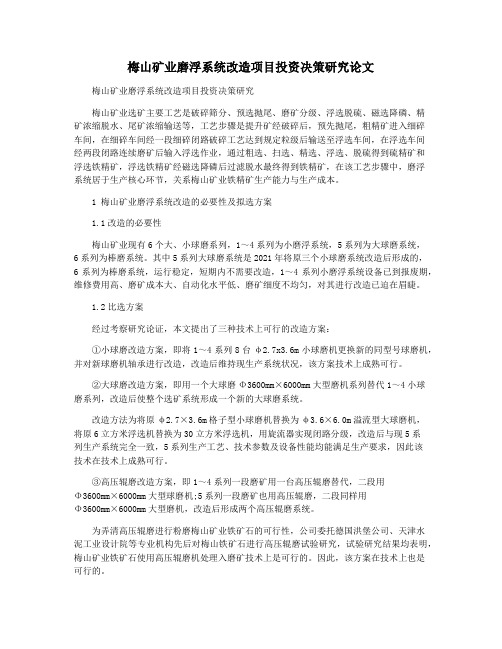 梅山矿业磨浮系统改造项目投资决策研究论文