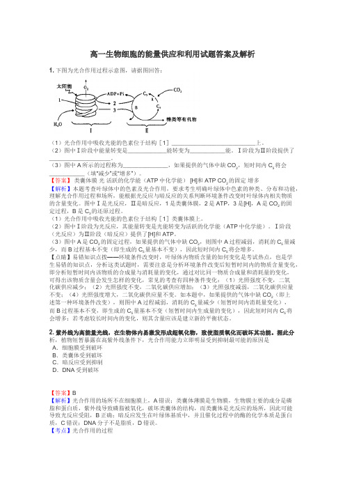 高一生物细胞的能量供应和利用试题答案及解析
