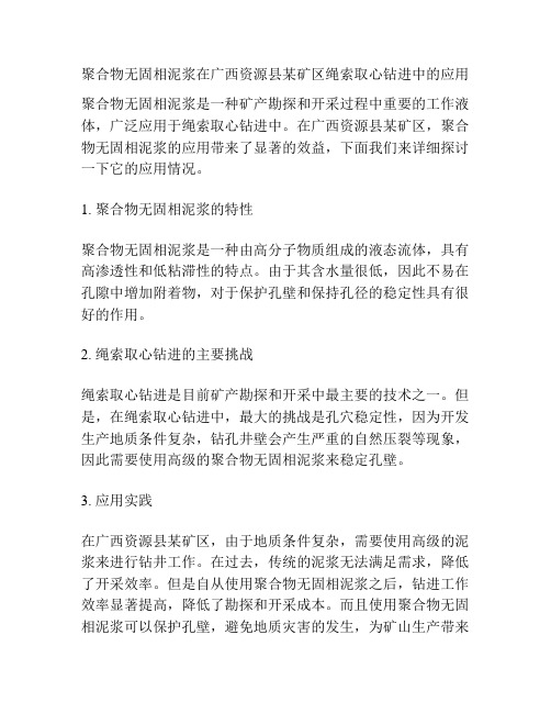 聚合物无固相泥浆在广西资源县某矿区绳索取心钻进中的应用