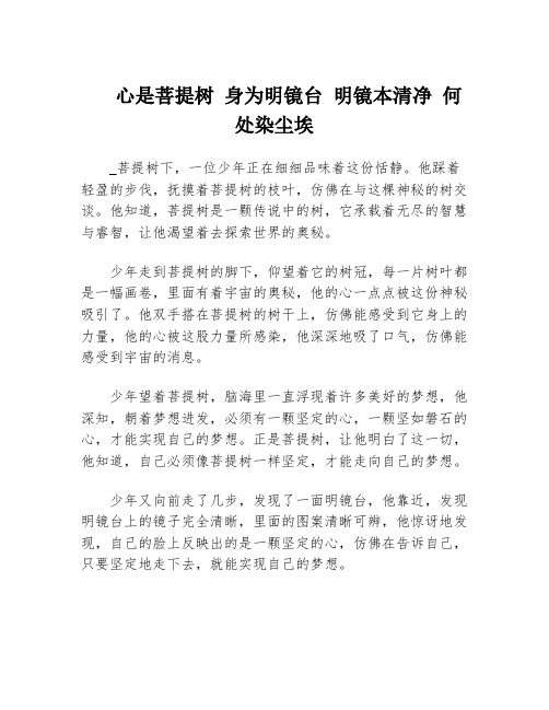 心是菩提树 身为明镜台 明镜本清净 何处染尘埃