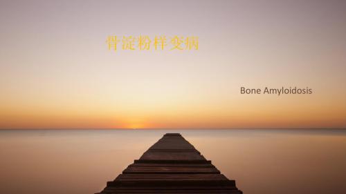 骨淀粉样瘤PPT课件