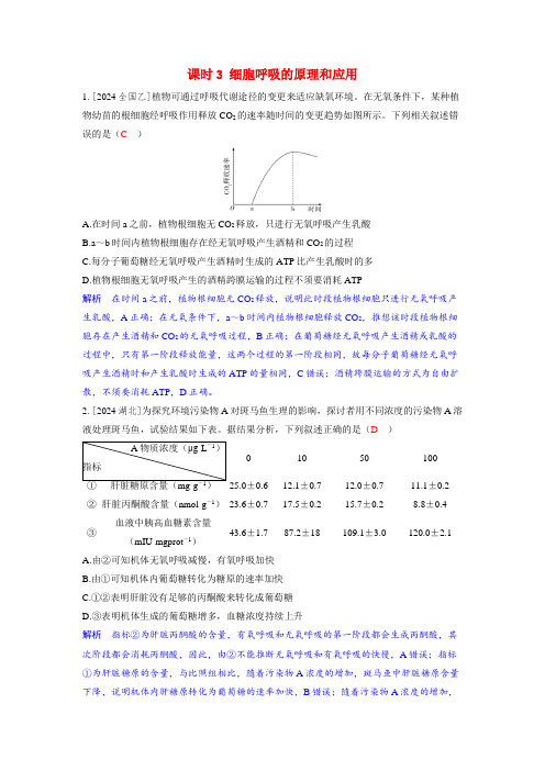 备考2025届高考生物一轮复习强化训练第三章细胞代谢课时3细胞呼吸的原理和应用