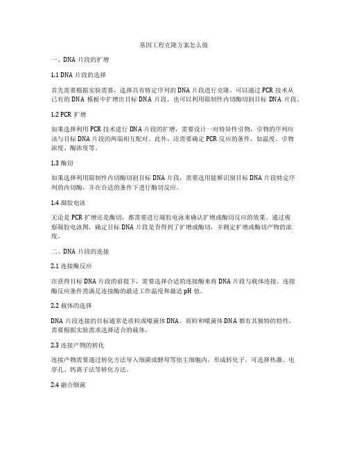 基因工程克隆方案怎么做