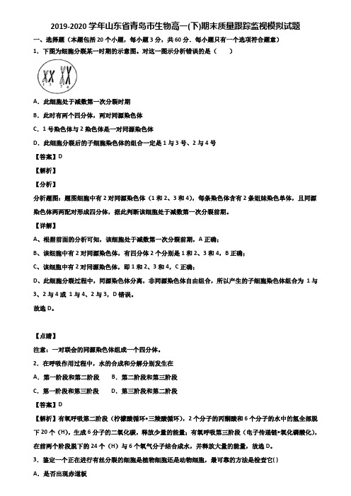 2019-2020学年山东省青岛市生物高一(下)期末质量跟踪监视模拟试题含解析