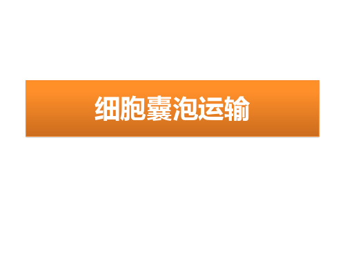 囊泡运输