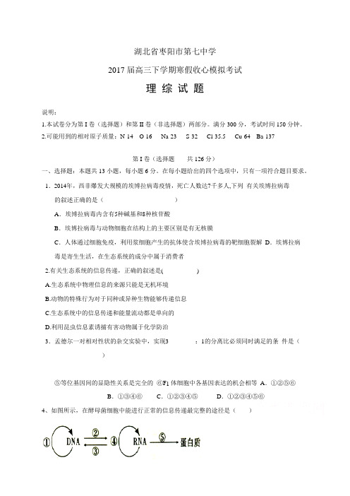 湖北省枣阳市第七中学高三下学期寒假收心模拟考试——理综(理综)