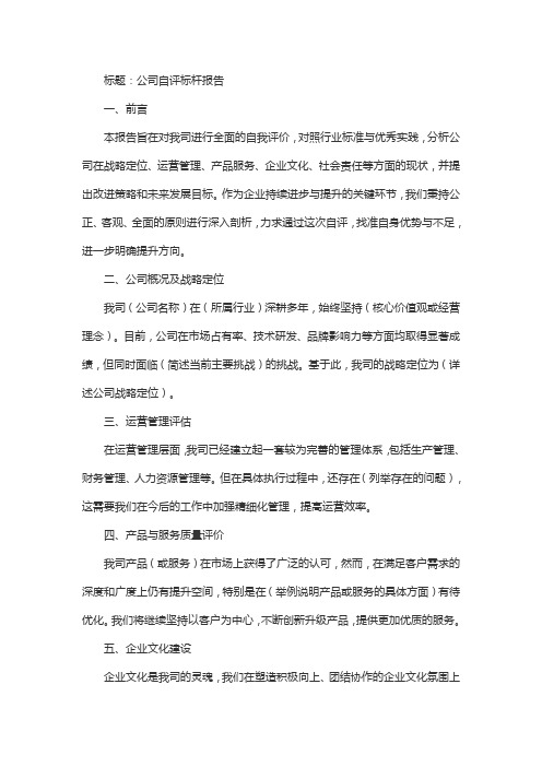 公司自评标杆报告