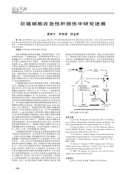 巨噬细胞在急性肝损伤中研究进展