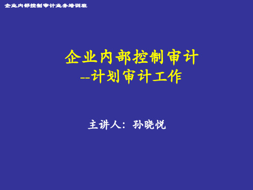 计划审计工作--普华永道会计师事务所合伙人 孙晓悦