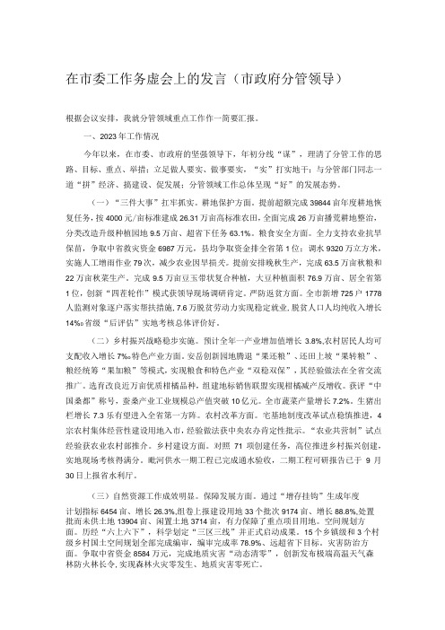 在市委工作务虚会上的发言市政府分管领导