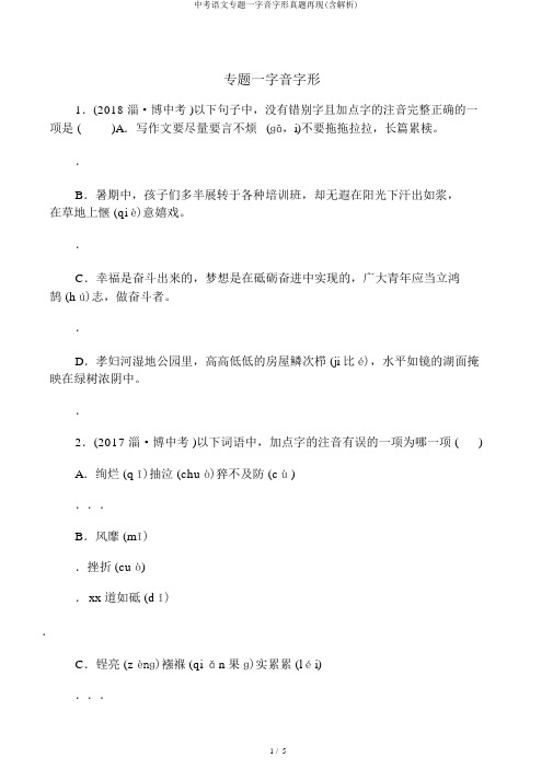 中考语文专题一字音字形真题再现(含解析)