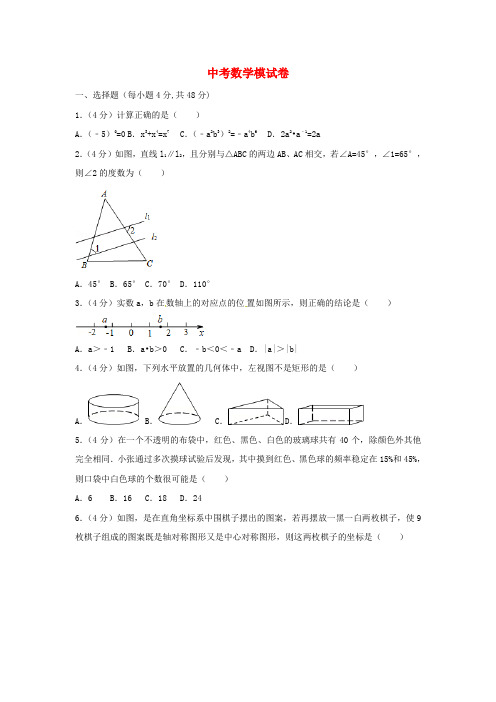 2019年中考数学模试试题(5)(含解析)