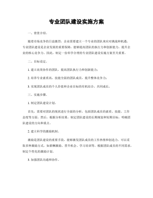 专业团队建设实施方案