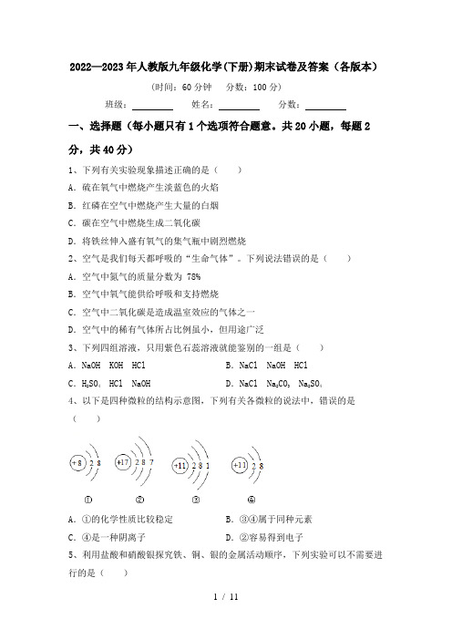 2022—2023年人教版九年级化学(下册)期末试卷及答案(各版本)