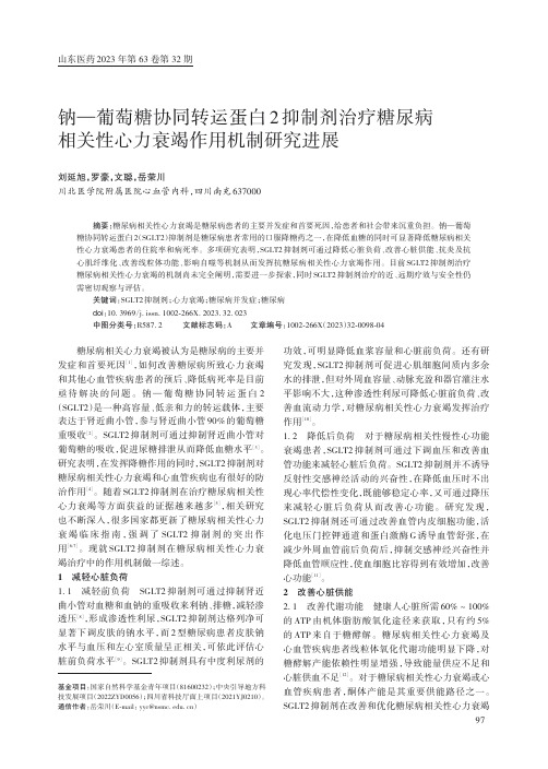 钠—葡萄糖协同转运蛋白2_抑制剂治疗糖尿病相关性心力衰竭作用机制研究进展