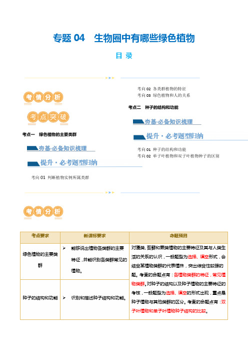 专题04生物圈中有哪些绿色植物(讲义)(解析版)-2024年中考生物一轮复习讲义