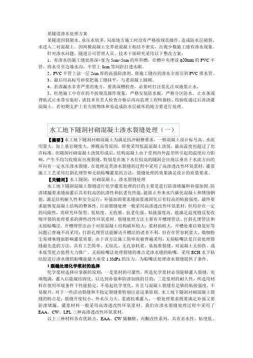 [精品文档]某隧道渗水处理方案