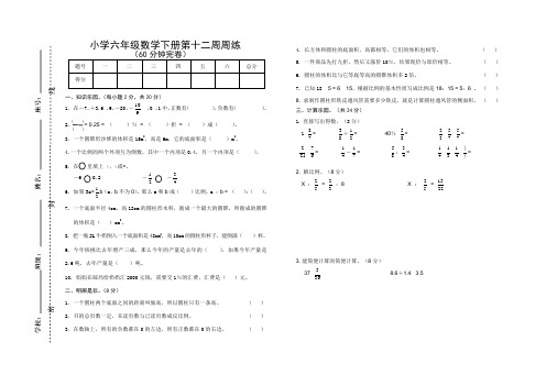 人教版小学六年级数学第12周周练试题