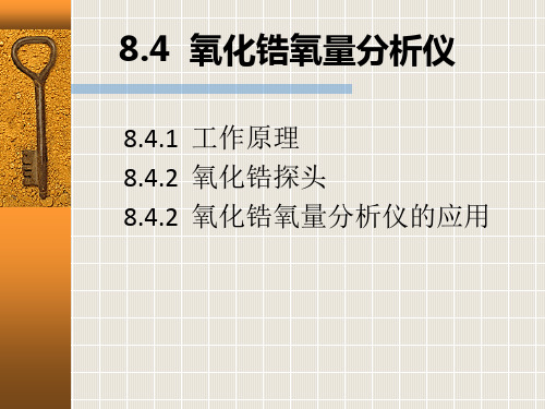 8.4氧化锆氧量分析仪