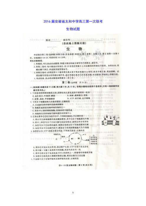 安徽省太和中学2016届高三上学期第一次联考生物试题 扫描版含答案