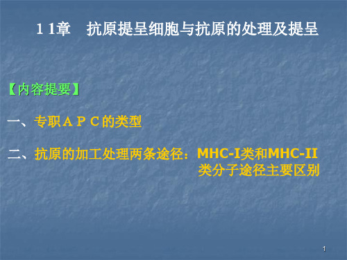 11-12抗原提呈与T细胞免疫PPT优秀课件