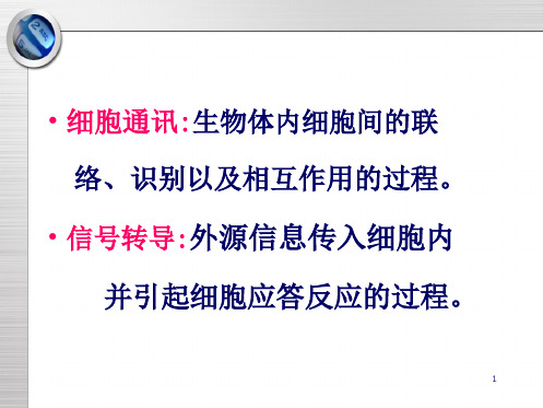 第八章 细胞通讯与信号转导(共126张PPT)