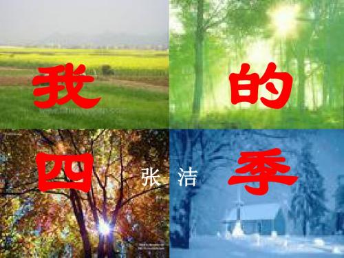 我的四季张洁