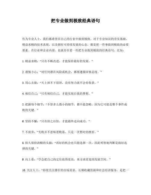 把专业做到极致经典语句