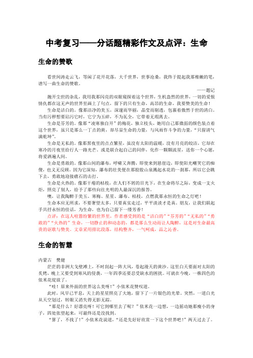 中考复习——分话题精彩作文及点评：生命