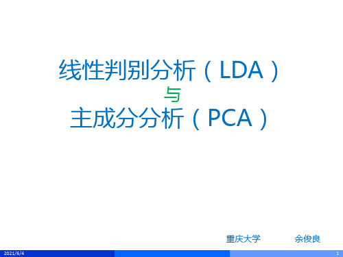 线性判别分析LDA与主成分分析PCA