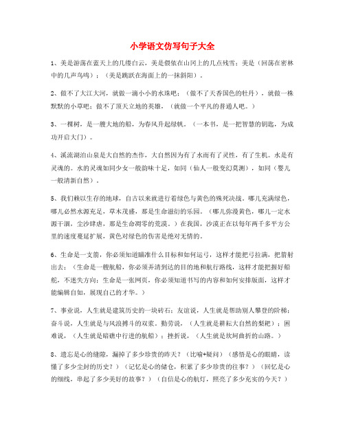 名师整理小学语文仿写句练习小学升初中必练句式