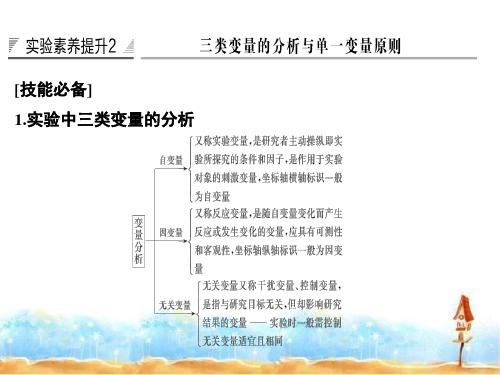 2020版新高考生物(鲁京津琼)复习课件：第三单元 细胞的能量供应与利用 实验素养提升2