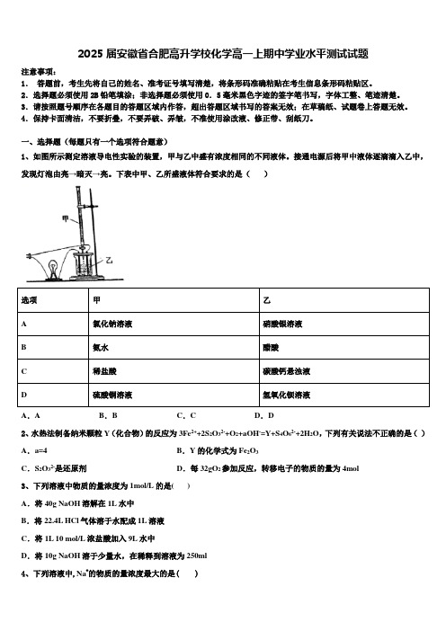 2025届安徽省合肥高升学校化学高一上期中学业水平测试试题含解析