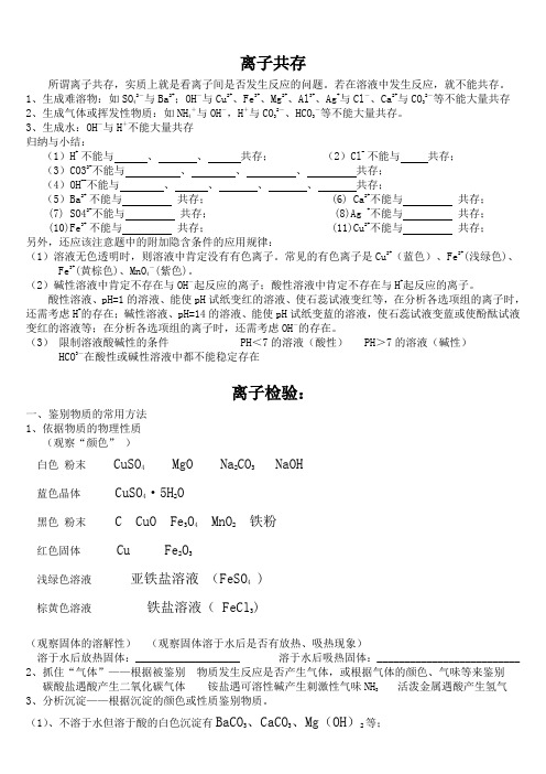 初中化学_离子共存__离子检验