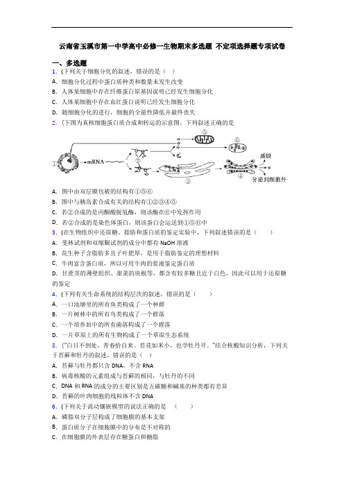 云南省玉溪市第一中学高中必修一生物期末多选题 不定项选择题专项试卷