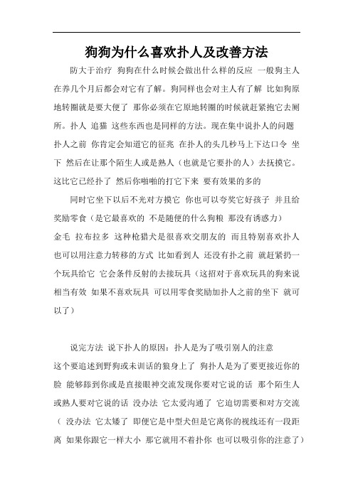 狗狗为什么喜欢扑人及改善方法