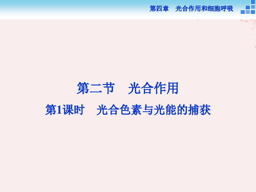 2021学年高中生物第四章光合作用和细胞呼吸第二节光合作用第1讲光合色素与光能的捕获课件苏教版必修1