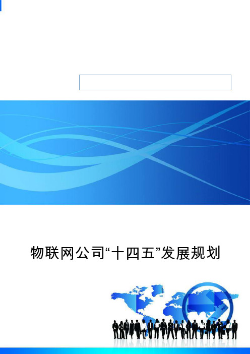 物联网公司“十四五”发展规划(专业完整模板)