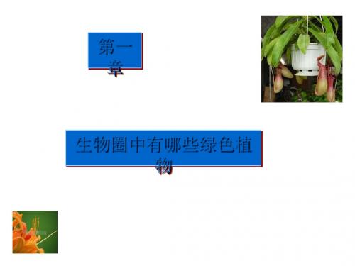 生物圈中有哪些绿色植物 PPT课件2 人教版