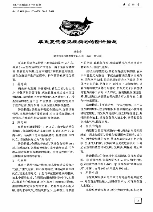 草鱼夏花常见疾病的的防治措施