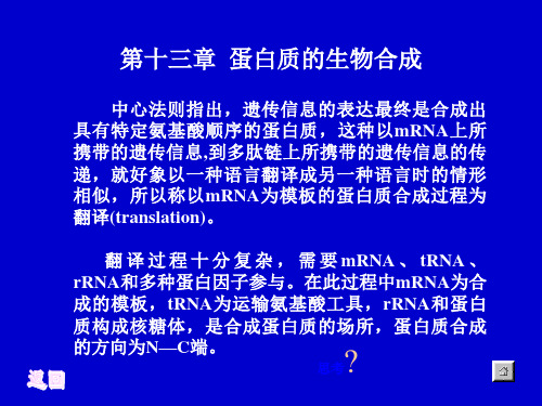 第十三章--蛋白质的生物合成ppt课件