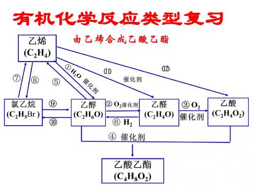 有机化学反应类型复习(课件)