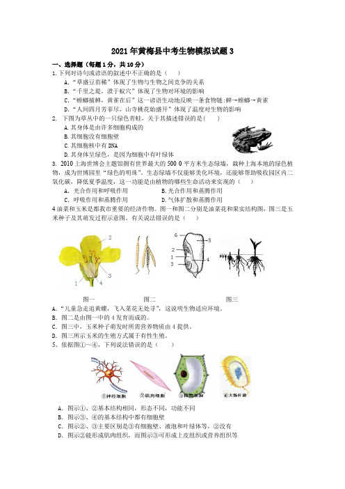 2021年湖北省黄冈市中考生物模拟试题(含答案)