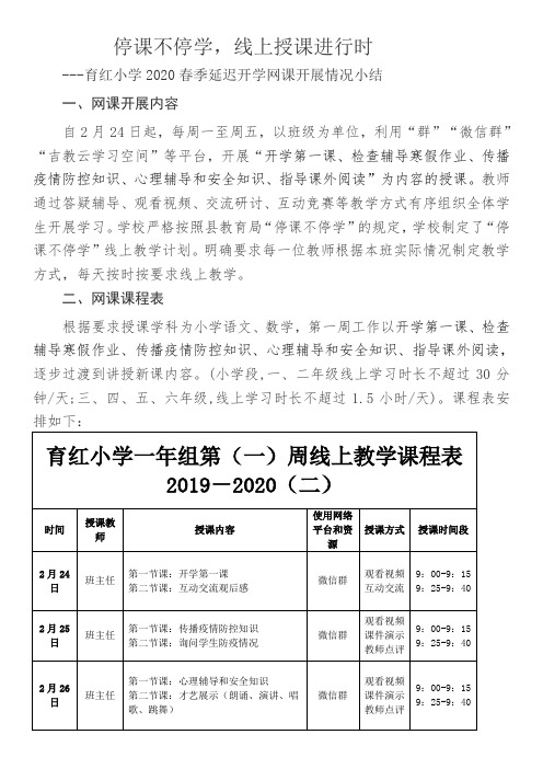 育红小学网课开展情况小结