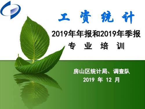 工资统计2019年年报和2019年季报专业培训-资料