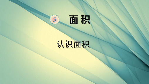 三年级下册数学课件-3.5.1认识面积∣人教新课标(共13张PPT)